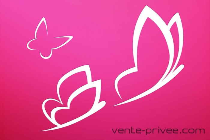 Vente-Privee.com : Le Géant Français